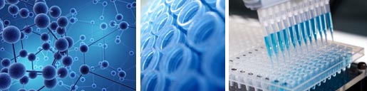 Avistron offers a range of drug discovery services, our team have many years experience of drug discovery, gained at Ciba, Novartis, Napp, Parke Davis Neuroscience, Tripos & have worked with the world’s largest pharmaceutical & Biotech companies