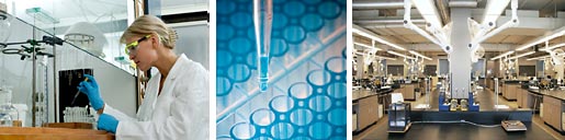 Avistron brinda servicios para el descubrimiento de medicamentos en química orgánica, medicinal y computacional; síntesis de oxígeno o azufre a medida; bloques estructurales heterocíclicos aromáticos y no aromáticos de nitrógeno; novedosos sistemas de anillos heterobicíclicos; fragmentos; compuestos intermedios; quimiotecas, con experiencia en diamina, imitadores de piperazina y productos naturales mediante síntesis de compuestos. Contamos con numerosos años de experiencia en el descubrimiento de medicamentos junto a las empresas farmacéuticas y de biotecnología más grandes del mundo, tales como Pfizer, GSK, Abbott, Merck, Amgen, Novartis, Sanofi Aventis
